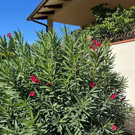 Вилла Relaxhomeholiday