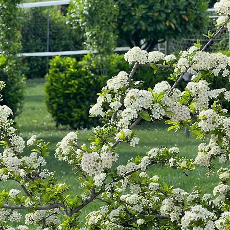 Relaxhomeholiday Вилла Паникале