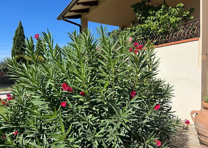 Вилла Relaxhomeholiday